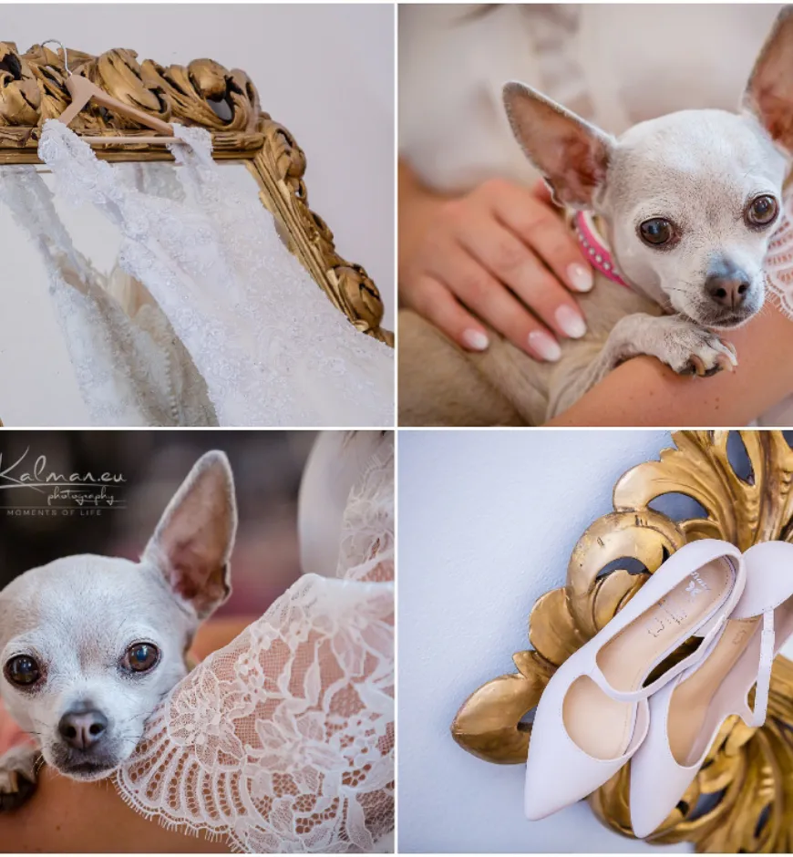 Svadobny fotograf barus 109 of 20