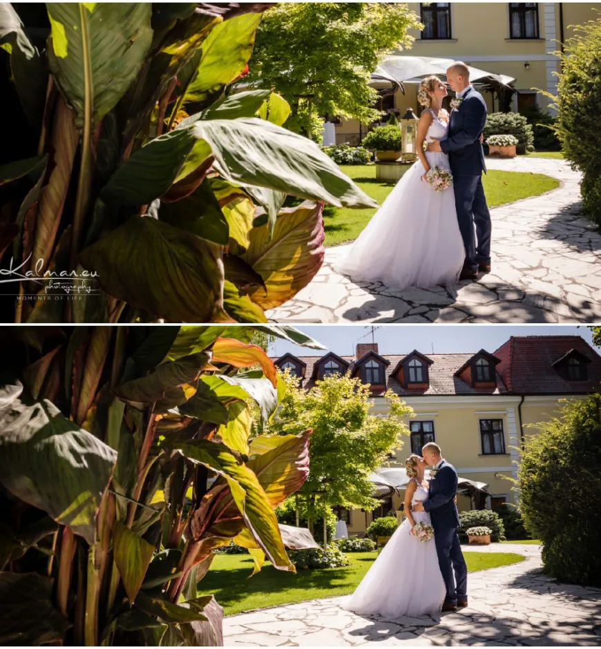 Svadobny fotograf sturovo 119 of 20