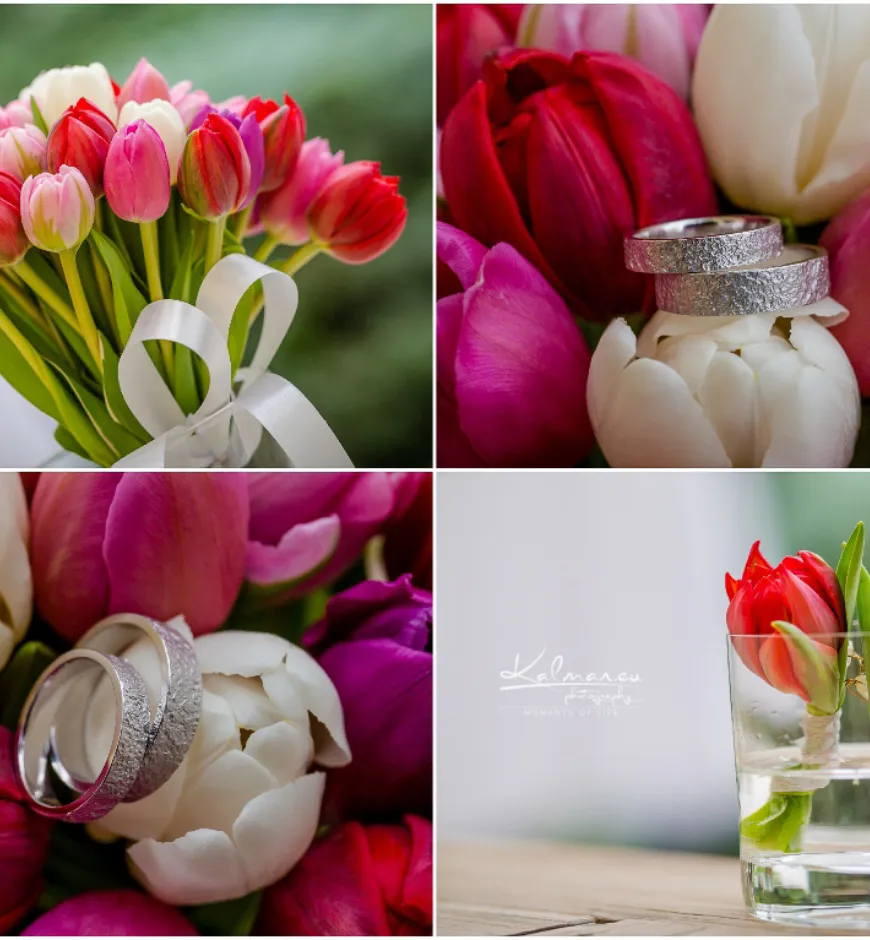 Svadobny fotograf nove zamky 106 of 15