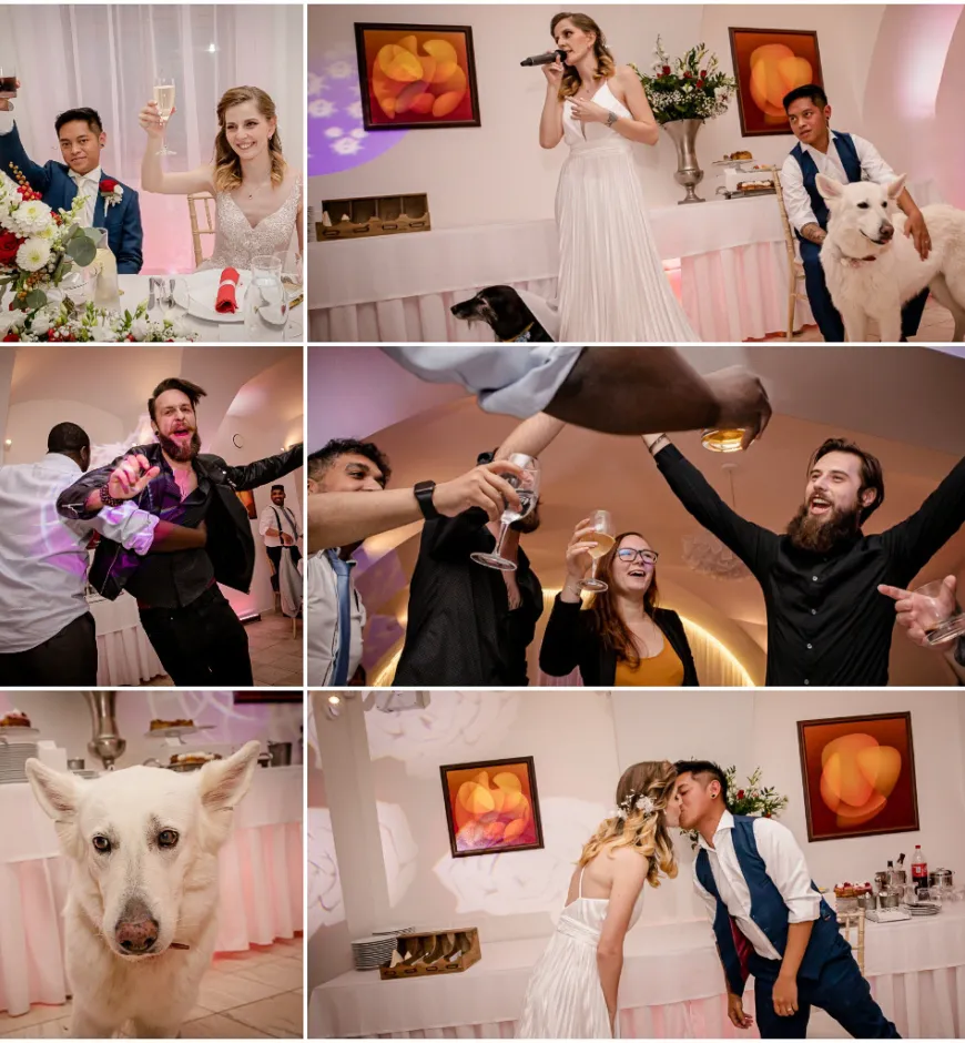 Svadobny fotograf velky meder 113 of 15